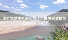 手机突然关机怎么办（手机突然关机怎么办OPPO手机）