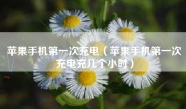 苹果手机第一次充电（苹果手机第一次充电充几个小时）