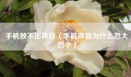 手机放不出声音（手机声音为什么忽大忽小）