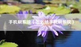 手机刷系统（怎么给手机刷系统）