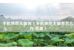 手机突然无服务（手机突然无服务怎么办 苹果）
