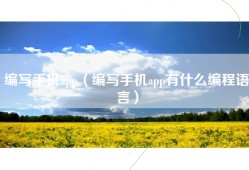 编写手机app（编写手机app有什么编程语言）