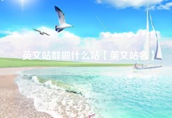 英文站群做什么站【英文站名】