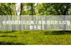 手机信息怎么拉黑（手机信息怎么拉黑看不见）