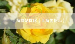 上海网站优化（上海优化seo）