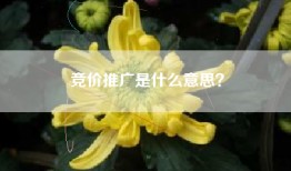 竞价推广是什么意思？
