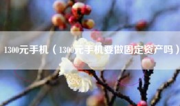 1300元手机（1300元手机要做固定资产吗）