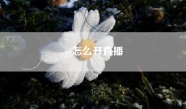 yy怎么开直播