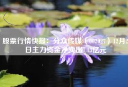 股票行情快报：分众传媒（002027）12月2日主力资金净卖出1.13亿元