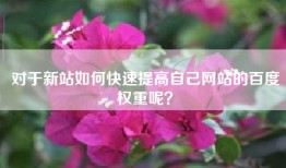对于新站如何快速提高自己网站的百度权重呢？