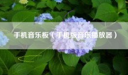 手机音乐板（手机版音乐播放器）