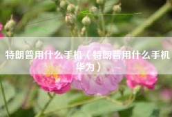 特朗普用什么手机（特朗普用什么手机华为）
