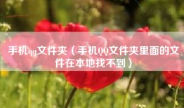 手机qq文件夹（手机QQ文件夹里面的文件在本地找不到）