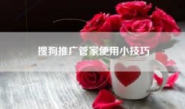 搜狗推广管家使用小技巧