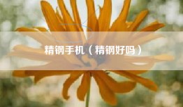 精钢手机（精钢好吗）