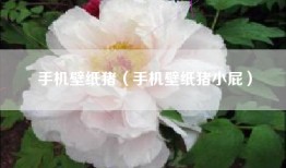 手机壁纸猪（手机壁纸猪小屁）