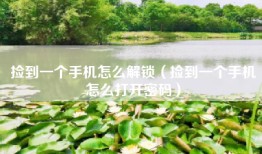 捡到一个手机怎么解锁（捡到一个手机怎么打开密码）