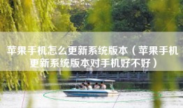 苹果手机怎么更新系统版本（苹果手机更新系统版本对手机好不好）
