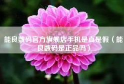 能良数码官方旗舰店手机是真是假（能良数码是正品吗）
