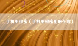 手机里秘密（手机里秘密相册在哪）