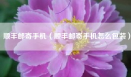 顺丰邮寄手机（顺丰邮寄手机怎么包装）