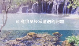 02 竞价员经常遭遇的问题
