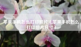 苹果手机怎么打印照片（苹果手机怎么打印照片尺寸）