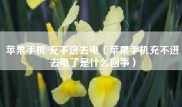 苹果手机 充不进去电（苹果手机充不进去电了是什么回事）