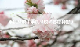 手机除胶（手机除胶神器哪种好）