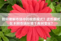 如何理解市场中的收费模式？这些模式在不同市场环境下有何变化？