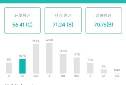 ESG观察｜借钱三千万填炒股资金的“坑” 金花股份有哪些治理漏洞？