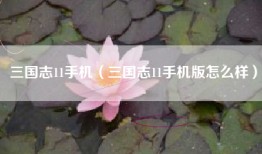 三国志11手机（三国志11手机版怎么样）