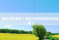 测试手机游戏（测试手机游戏帧率的应用）