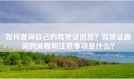 如何查询自己的驾驶证信息？驾驶证查询的流程和注意事项是什么？