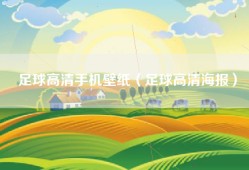 足球高清手机壁纸（足球高清海报）