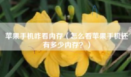 苹果手机咋看内存（怎么看苹果手机还有多少内存？）