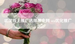 武汉线上推广选择顺企网 seo优化推广
