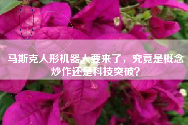 马斯克人形机器人要来了，究竟是概念炒作还是科技突破？