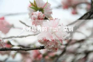 人才培养的“721”法则 人才培养的“721”法则