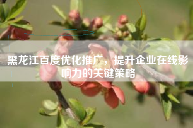 黑龙江百度优化推广，提升企业在线影响力的关键策略