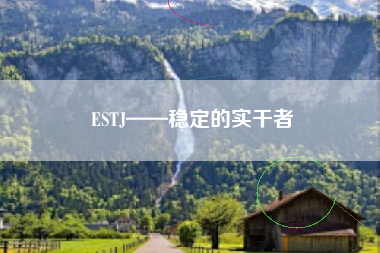 ESTJ——稳定的实干者