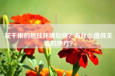 花千集的居住环境如何？有什么值得关注的地方？