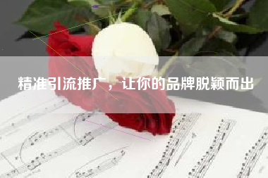 精准引流推广，让你的品牌脱颖而出