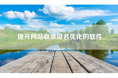 提升网站收录排名优化的软件
