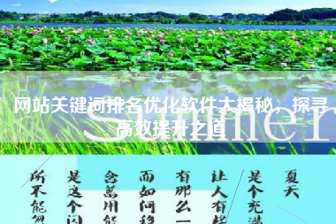 网站关键词排名优化软件大揭秘，探寻高效提升之道
