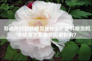 郑商所的塑料期货是什么？塑料期货的市场需求受哪些因素影响？