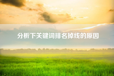 分析下关键词排名掉线的原因