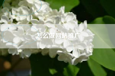 怎么做网站推广