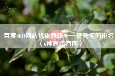 百度SEO网站优化思路——提升你的排名（6种思路方向）