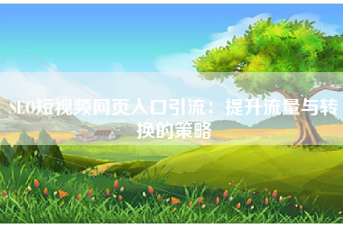 SEO短视频网页入口引流：提升流量与转换的策略
